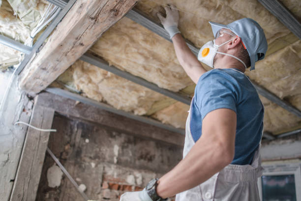 Best Cellulose Insulation  in Havre De Grace, MD