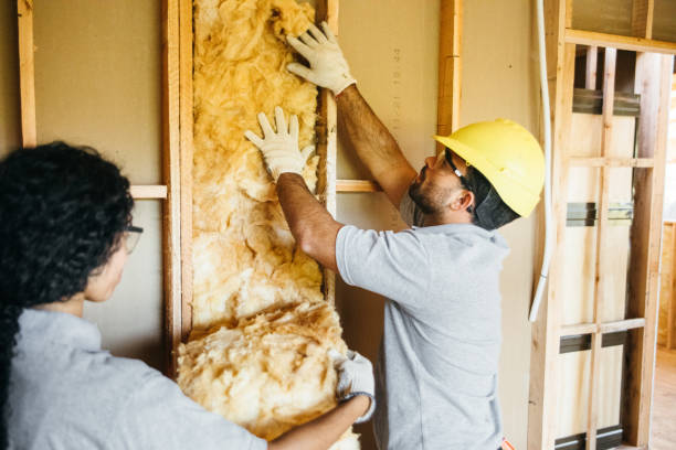 Best Energy-Efficient Insulation  in Havre De Grace, MD